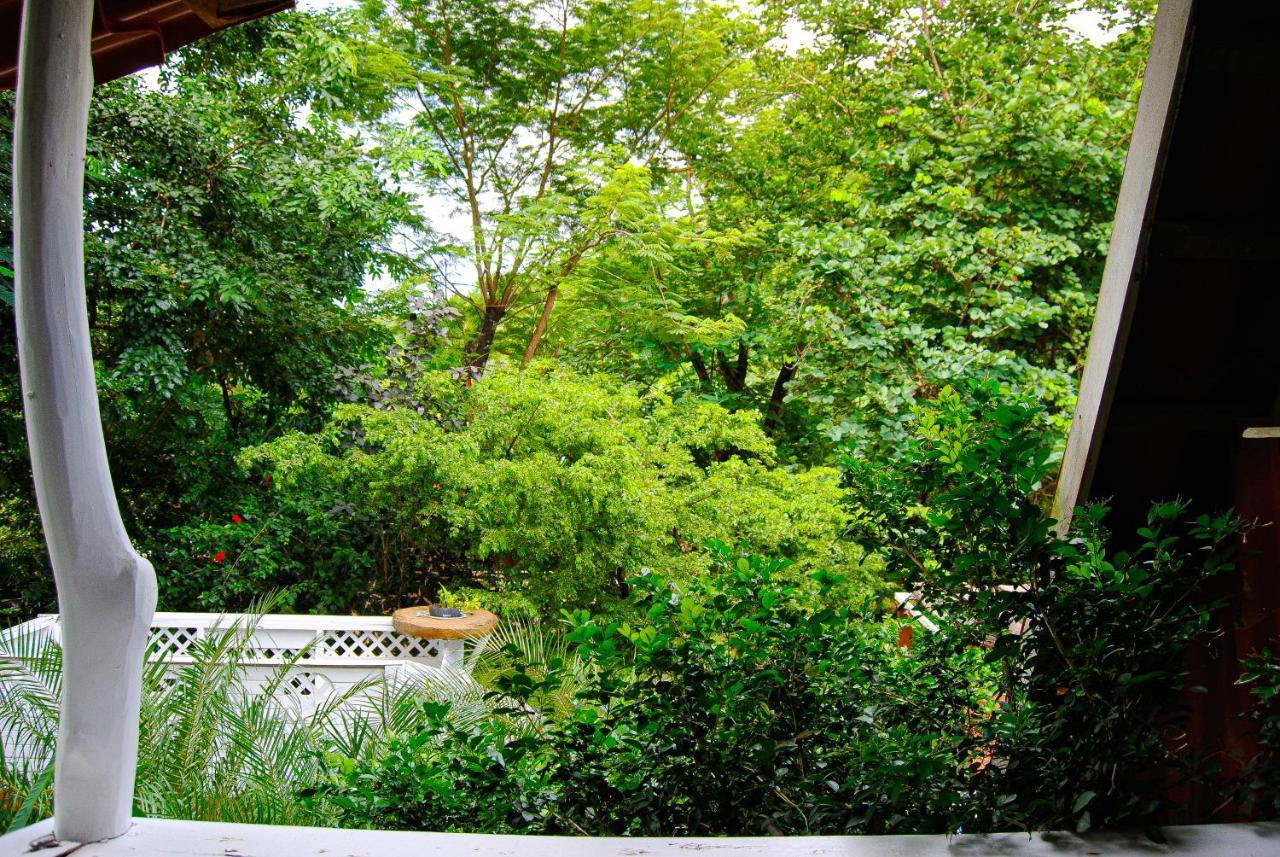 Hacienda Sarah Villa Nosara Exterior foto